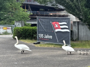 Schwanenrettung 2026 WS 3819