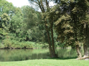 Ulm-Lauingen-Ulm2014 14