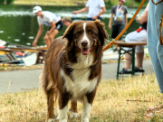 Vereinsregatta 2026 DWH 03355